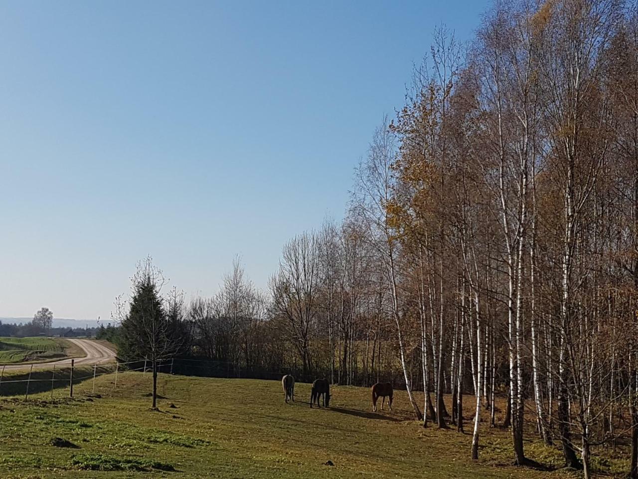 Villa Cheval Aukštadvaris Extérieur photo