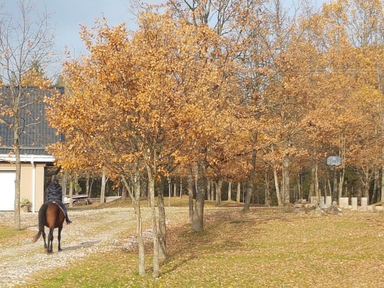 Villa Cheval Aukštadvaris Extérieur photo